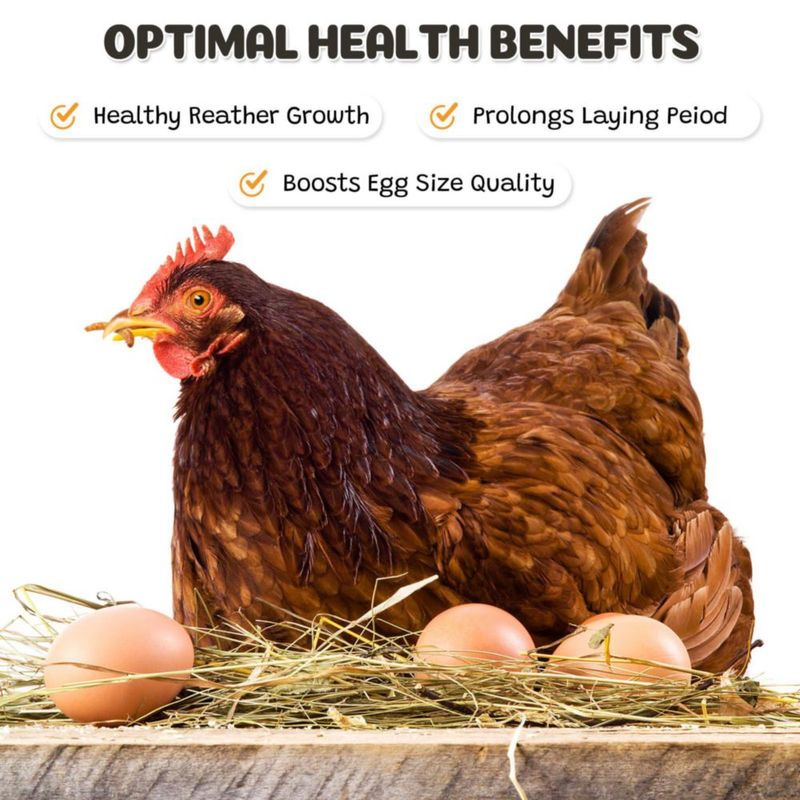 Alimento para Mascotas BENEYUMI Gusanos de Harina Secos 4.5 kg Proteína Natural