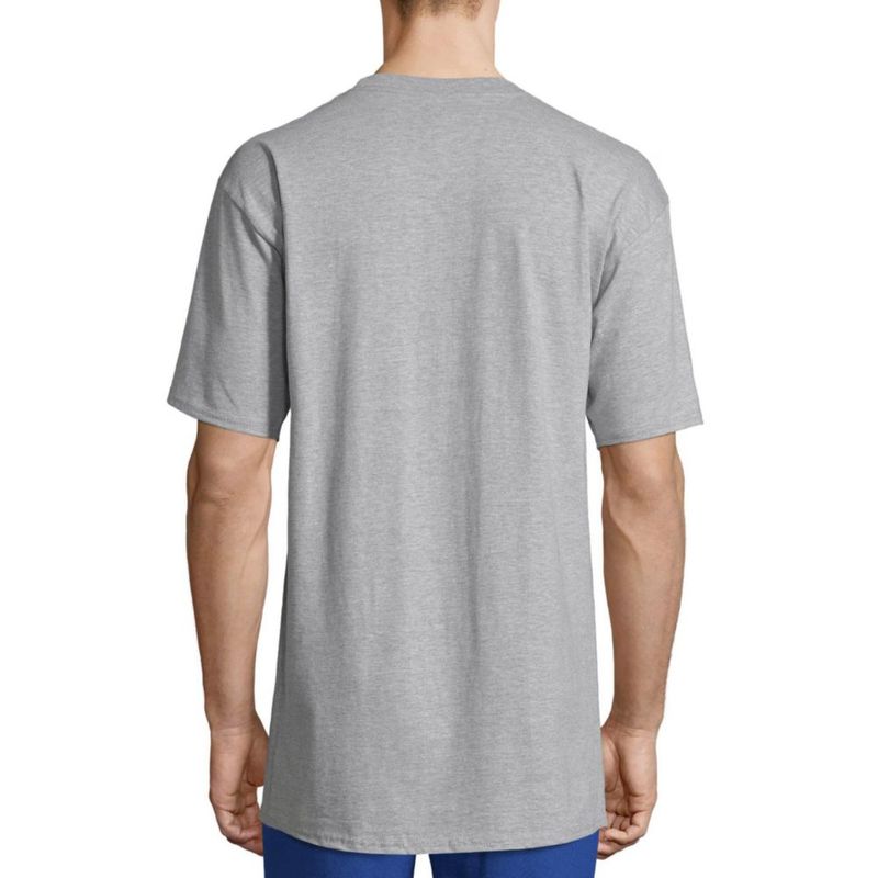 Remera Hanes Beefy Manga Corta 2-Pack Acero Claro XXL