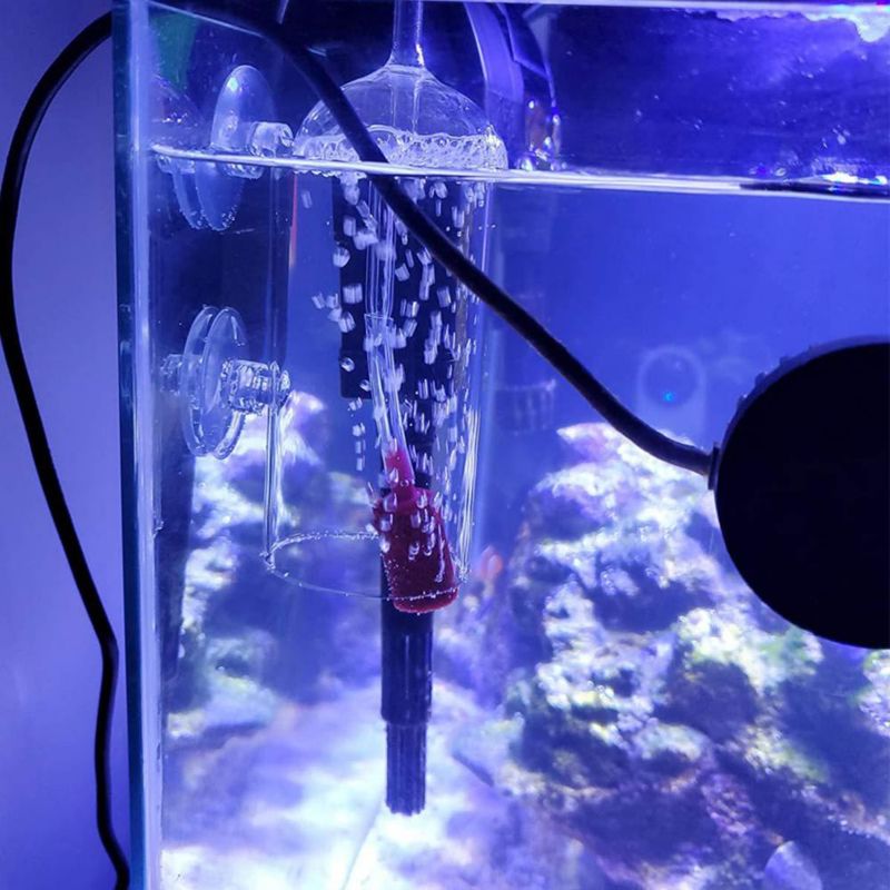 Kit de Difusor de Oxígeno para Acuario Ailinda de Vidrio