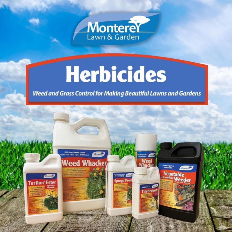 Agente de Control de Malezas Monterey Turflon Ester 236 ml