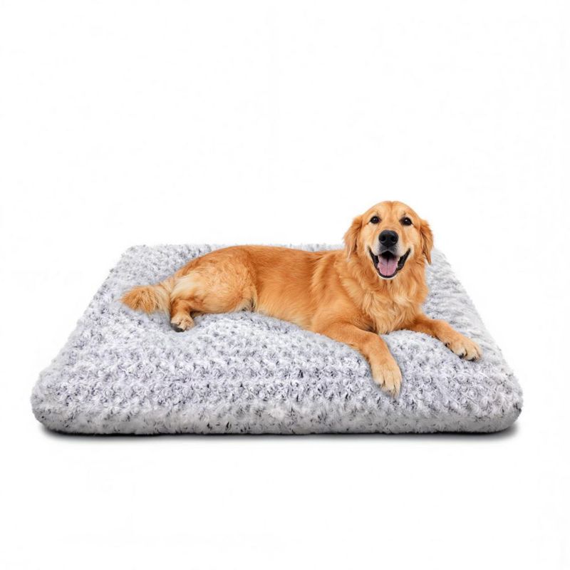 Cama para Perro Yintrest XL 89x58 cm Plush Ortopédica Gris