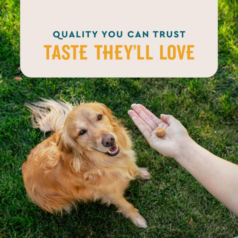 Suplemento para Mascotas VETIQ Antipulgas y Garrapatas Masticables 90 Unidades