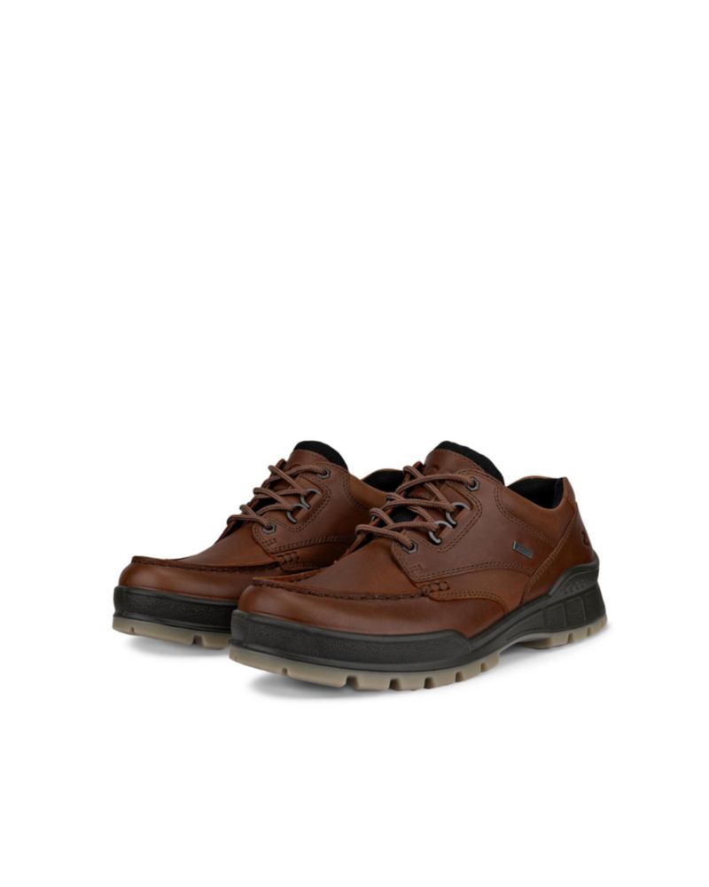 Zapato ECCO Track 25 Low Gore-TEX Impermeable de Cuero