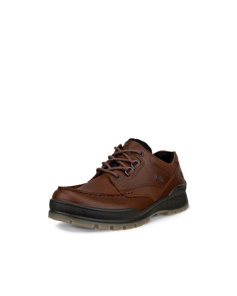 Zapato ECCO Track 25 Low Gore-TEX Impermeable de Cuero