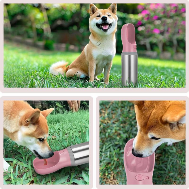 Botella de Agua para Perros Anipaw 414 ml Acero Inoxidable Antigoteo