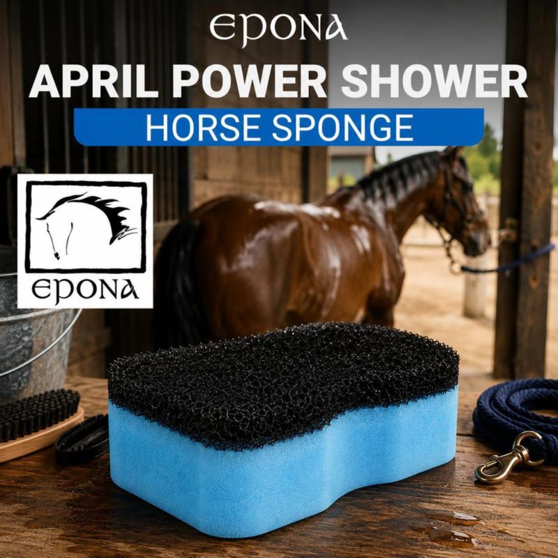 Esponja Utilitaria Epona 20 cm x 12 cm x 6 cm Azul