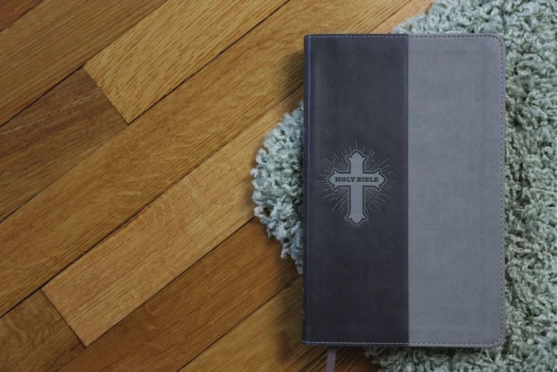 Biblia HarperCollins NIV para Niños cubierta de cuero suave gris