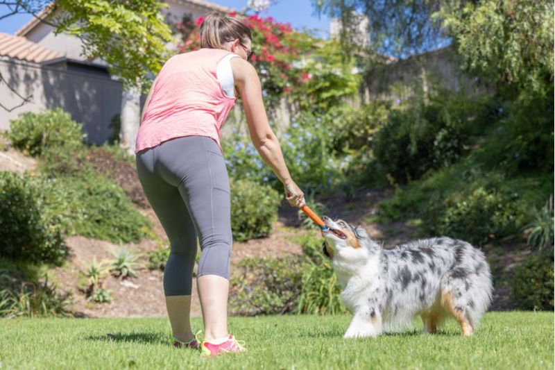 ¡Dog Fetch Stick Chuckit! Ultra Fetch para todos los tamaños de raza