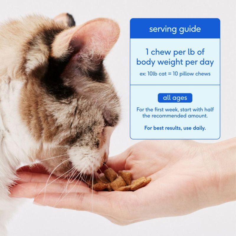 Probiótico para Gatos Native Pet Sabor a Pollo 120 g
