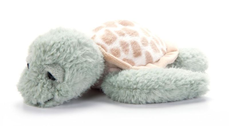 Peluche de Tortuga Marina 25 cm – The Petting Zoo