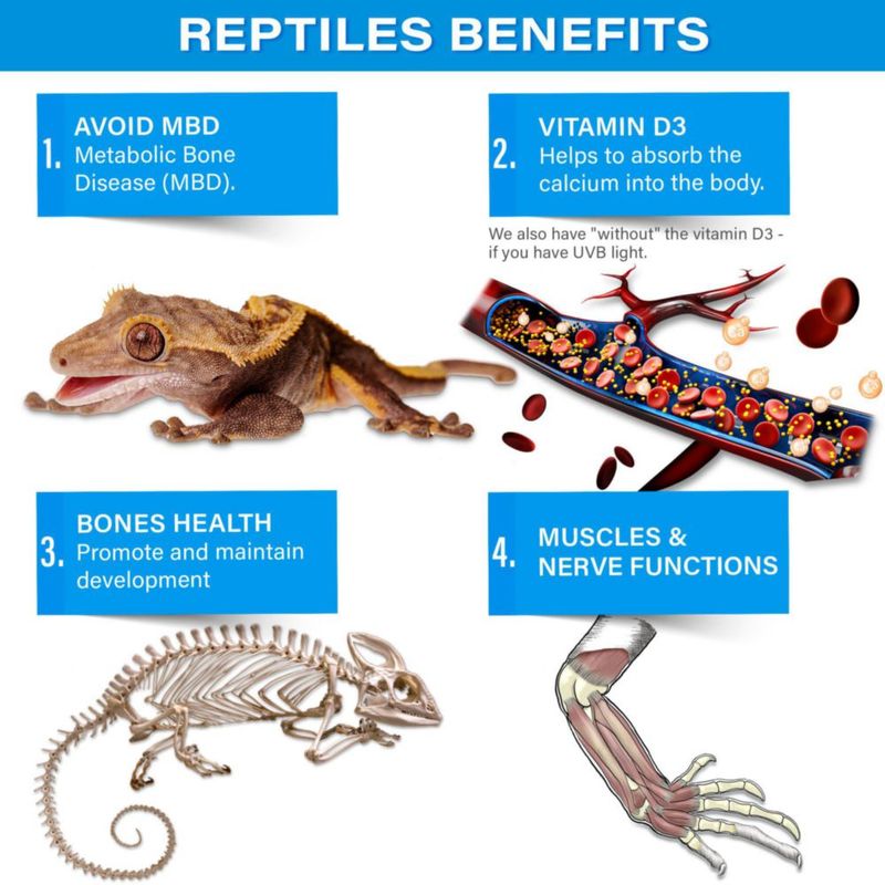 Suplemento de calcio para reptiles Gargeer 113 g sin D3 ultra fino