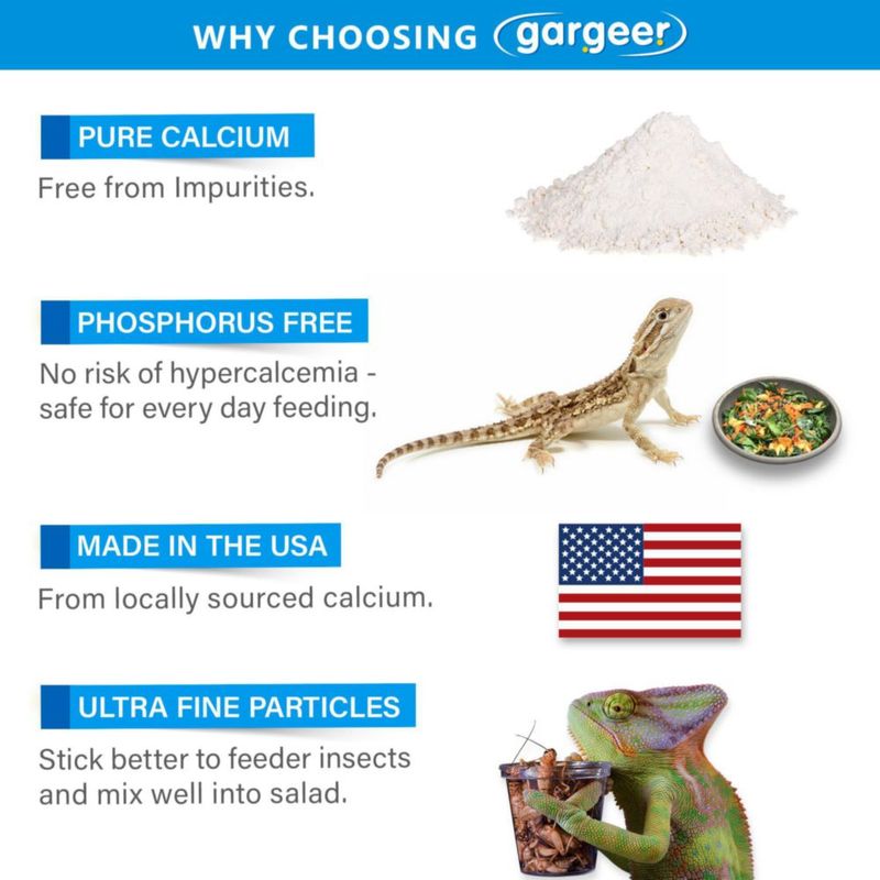 Suplemento de calcio para reptiles Gargeer 113 g sin D3 ultra fino