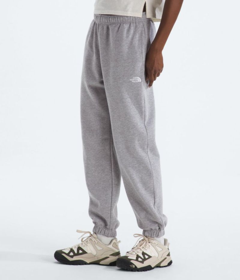 PANTALONES The North Face Medium Pale Gy Hth