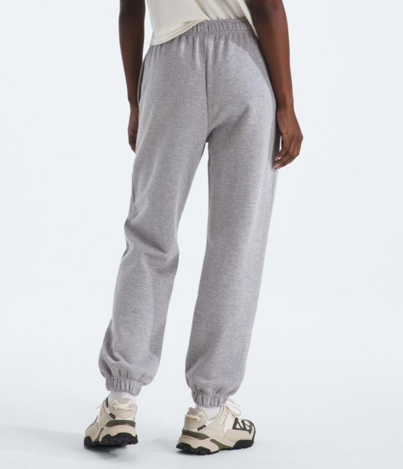 PANTALONES The North Face Medium Pale Gy Hth