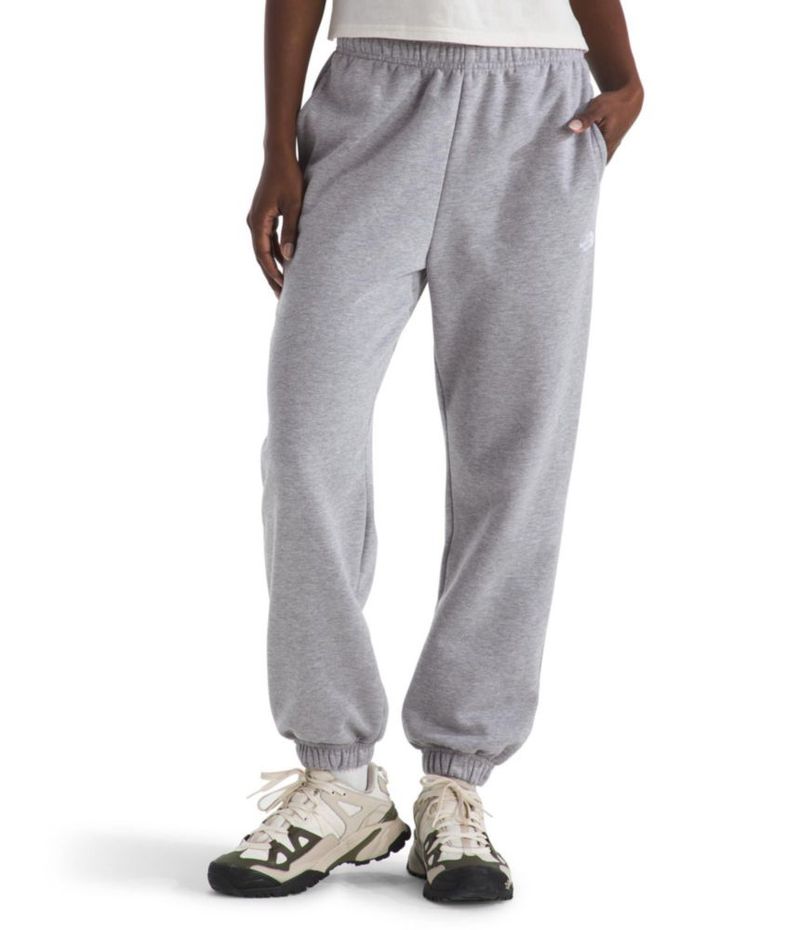 PANTALONES The North Face Medium Pale Gy Hth