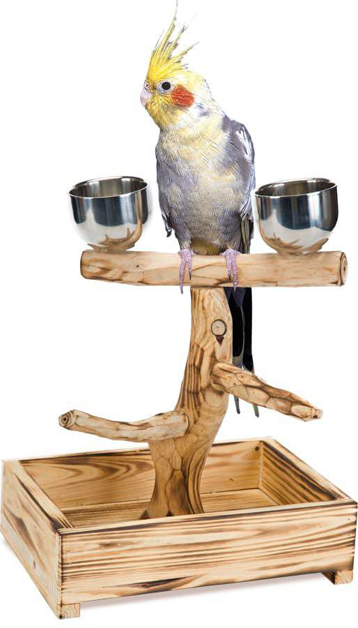 Posadero para pájaros Penn-Plax Medium de madera natural con tazones