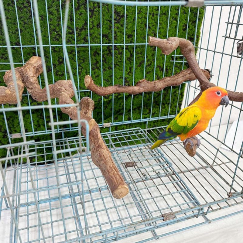 Percha de Vid para Pájaros Allazone 23‑30 cm – Pack de 4