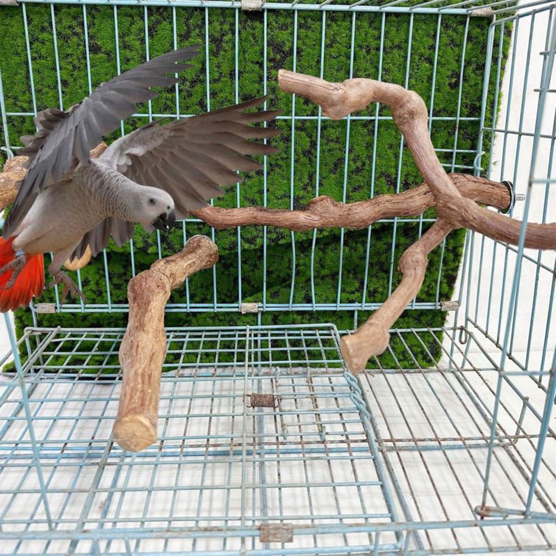 Percha de Vid para Pájaros Allazone 23‑30 cm – Pack de 4