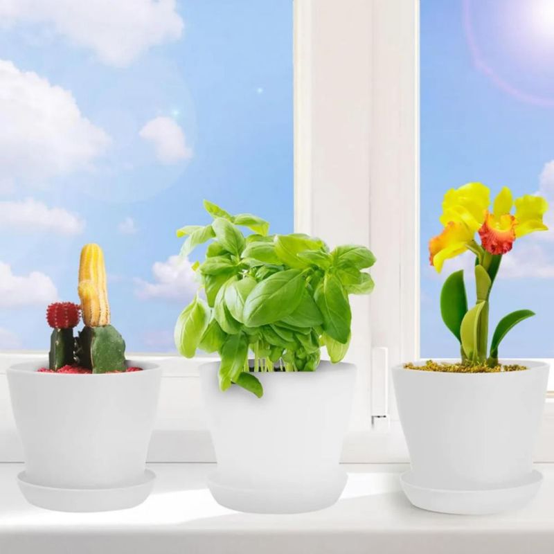 Maceta De Plástico Pequeñas Minimalistas 20pzs Blanco