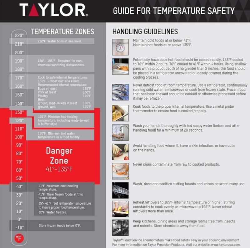 Termómetro Taylor Gris Impermeable de Lectura Instantánea