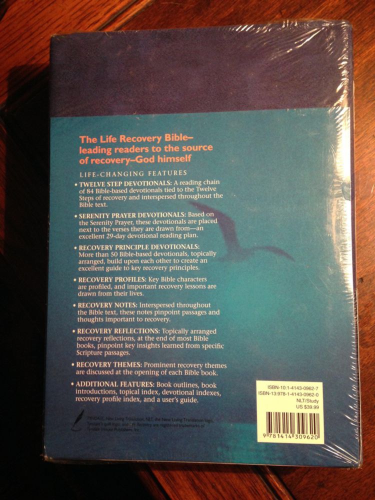 Biblia de Recuperación de Vida NLT