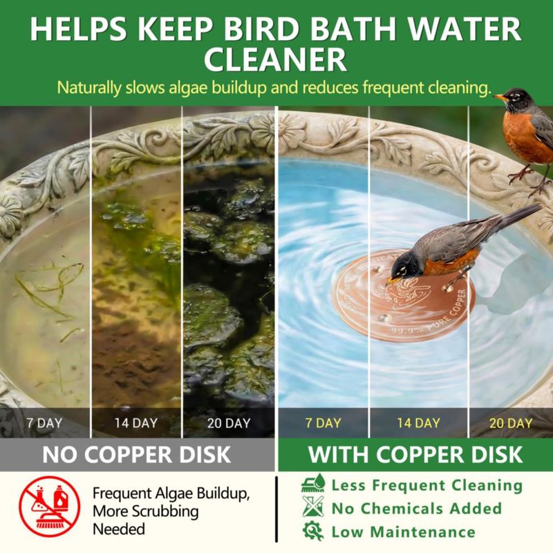 Discos de cobre para baño de pájaros Factee 2 piezas 06 mm
