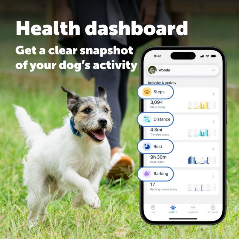 Rastreador GPS para Perro PetSafe – Suscripción de 3 Meses y Seguimiento en Tiempo Real