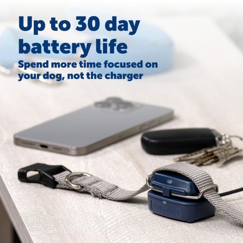 Rastreador GPS para Perro PetSafe – Suscripción de 3 Meses y Seguimiento en Tiempo Real