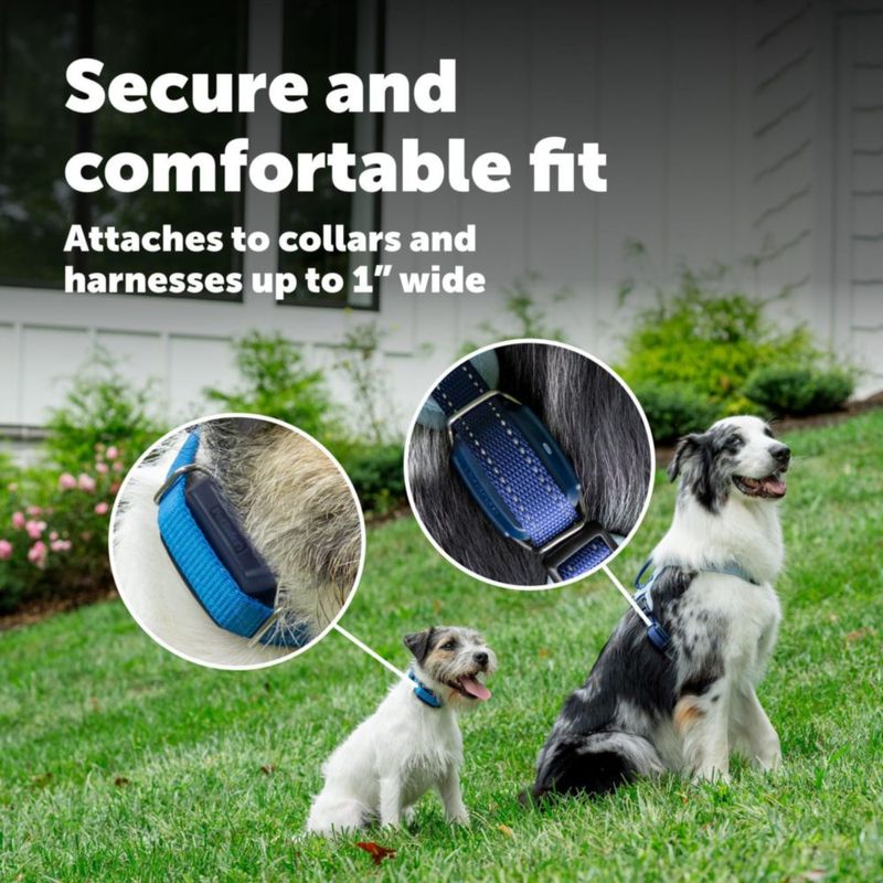 Rastreador GPS para Perro PetSafe – Suscripción de 3 Meses y Seguimiento en Tiempo Real