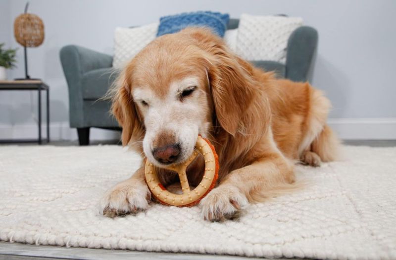 Juguete para perros Hartz Chew ‘n Clean mediano sabor a pollo