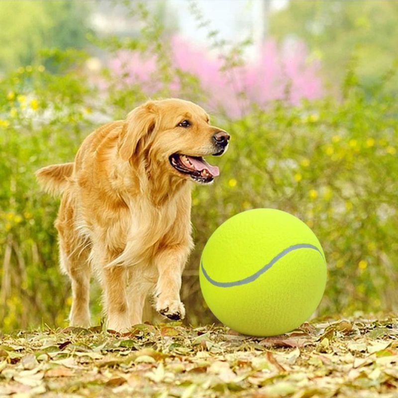 Pelota de tenis inflable SenseYo 25 cm para perros – Pack de 2