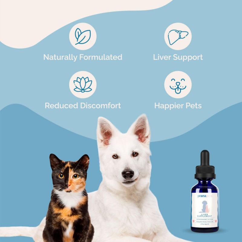 Suplemento hepático líquido PranaPets 59 ml para perros y gatos (herbal)