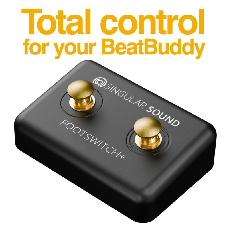 Pedal de control Dual Momentary Singular Sound (Negro)