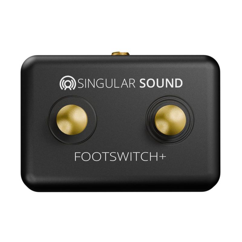 Pedal de control Dual Momentary Singular Sound (Negro)
