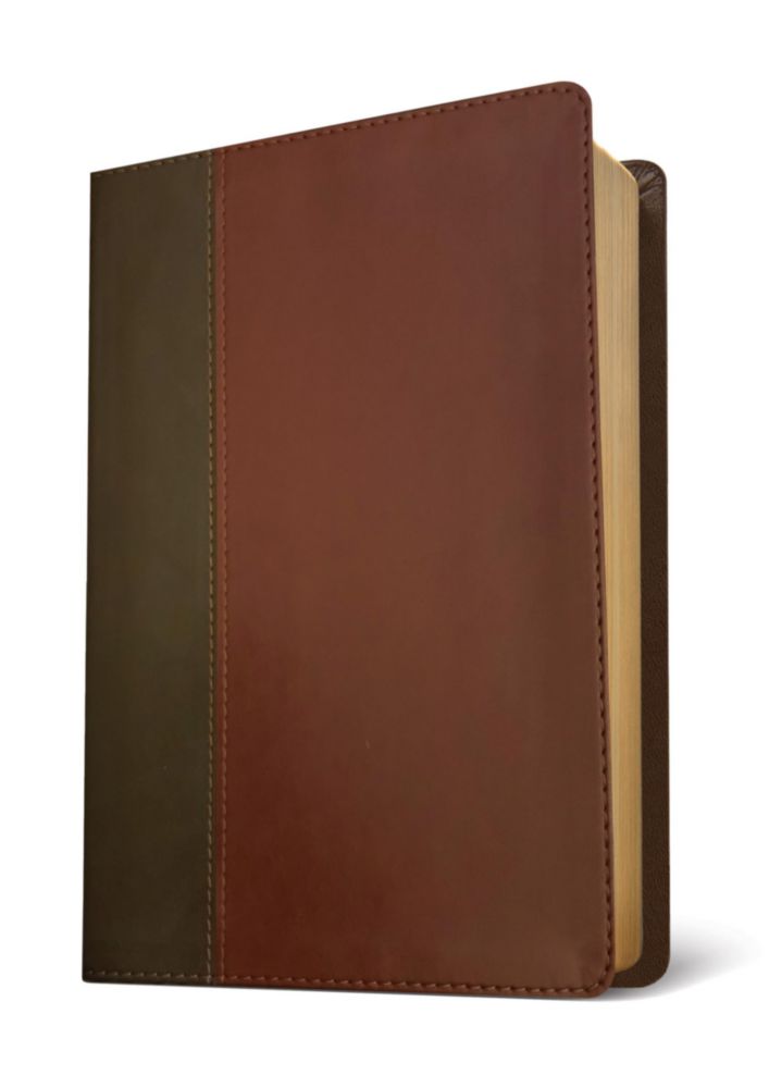 Biblia de Estudio Tyndale House de Gran Letra con Cubierta Imitación Cuero