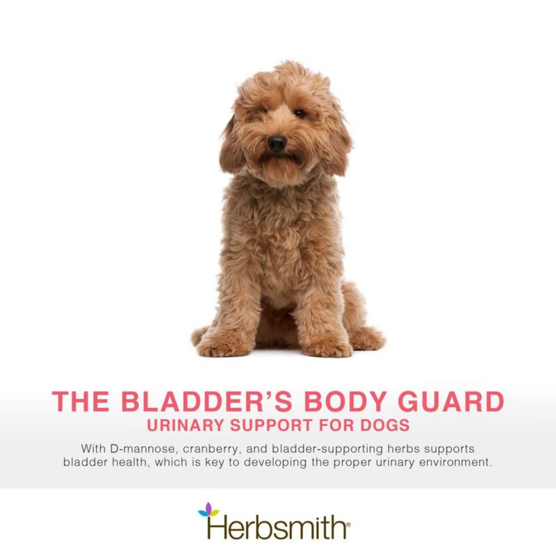 Suplemento para mascotas Herbsmith 75 g polvo para la salud urinaria