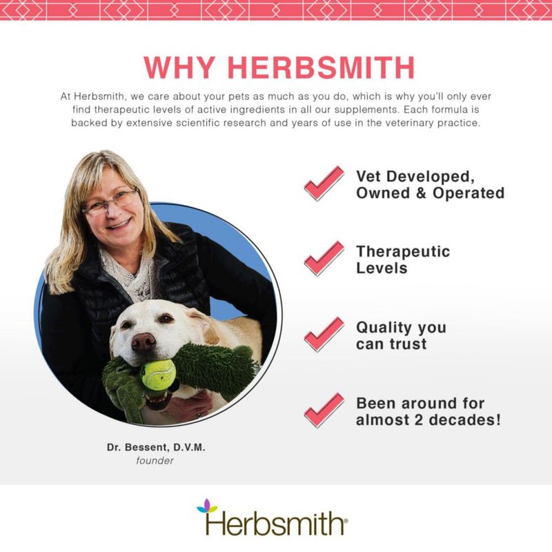Suplemento para mascotas Herbsmith 75 g polvo para la salud urinaria