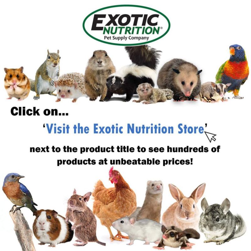 Juguete de Forrajeo Exotic Nutrition 30 cm de PVC Duradero