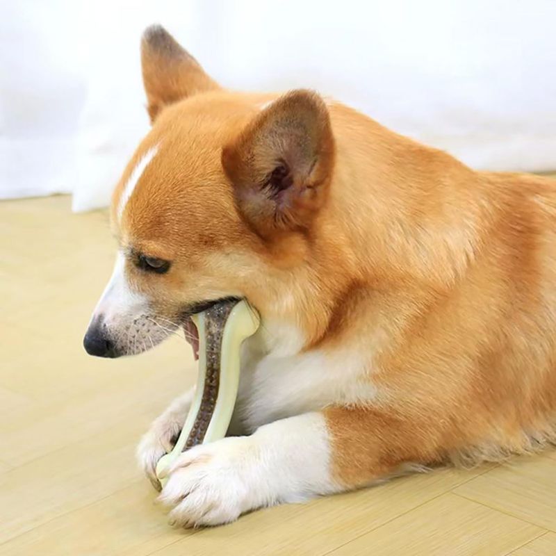 Huesos para perros Geeyteek 6 unidades nylon sabor a carne de res