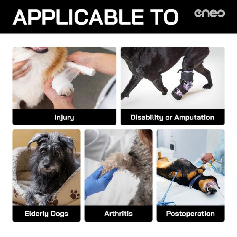 Arnés Elevador para Perro Cneo Ajustable y de Diseño Cómodo