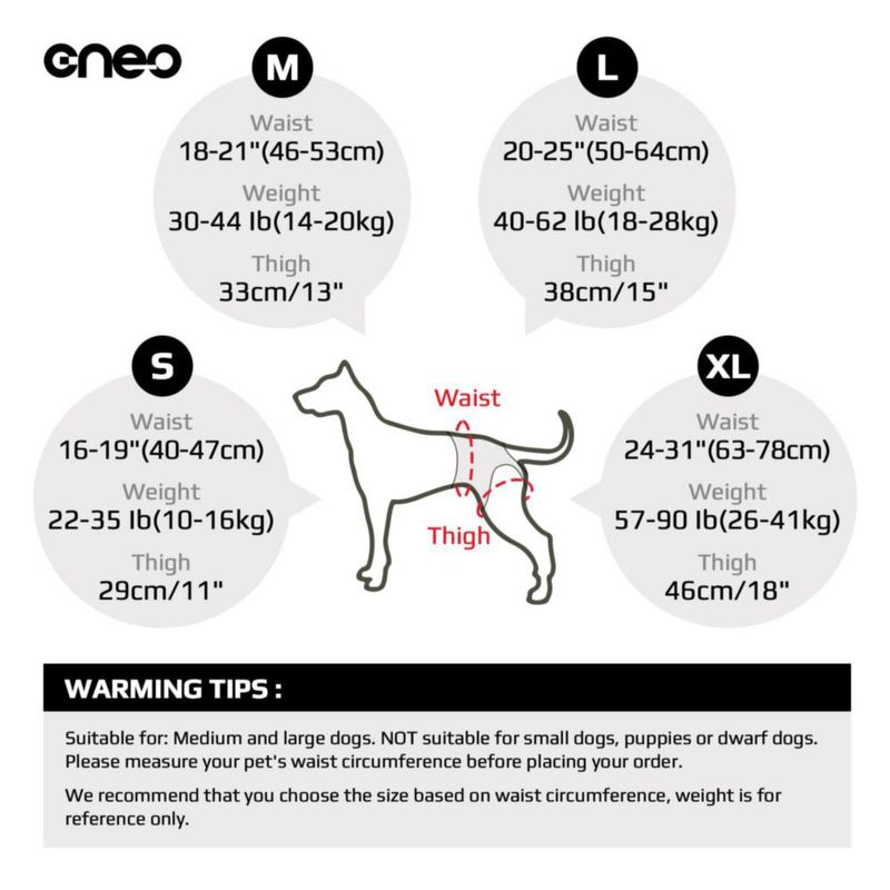 Arnés Elevador para Perro Cneo Ajustable y de Diseño Cómodo