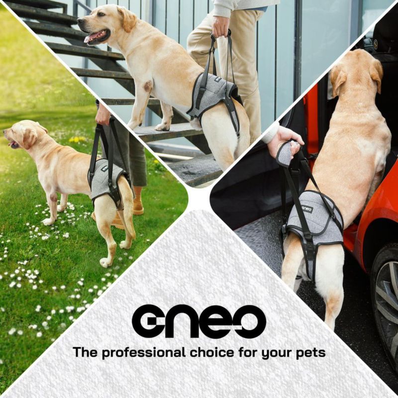 Arnés Elevador para Perro Cneo Ajustable y de Diseño Cómodo