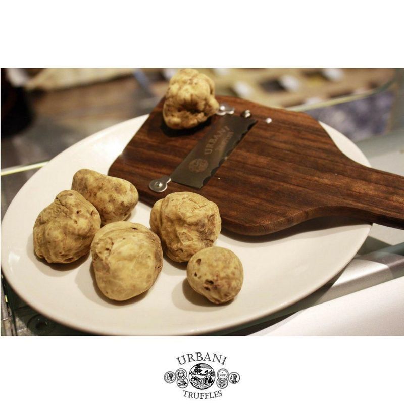Cortador de alimentos Urbani Truffles con mango de madera y hoja de acero