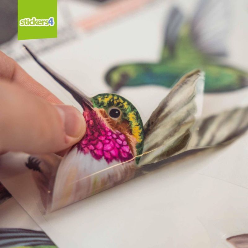 Pegatinas para ventana Stickers4 – Prevención de colisiones de aves (Pack de 12)