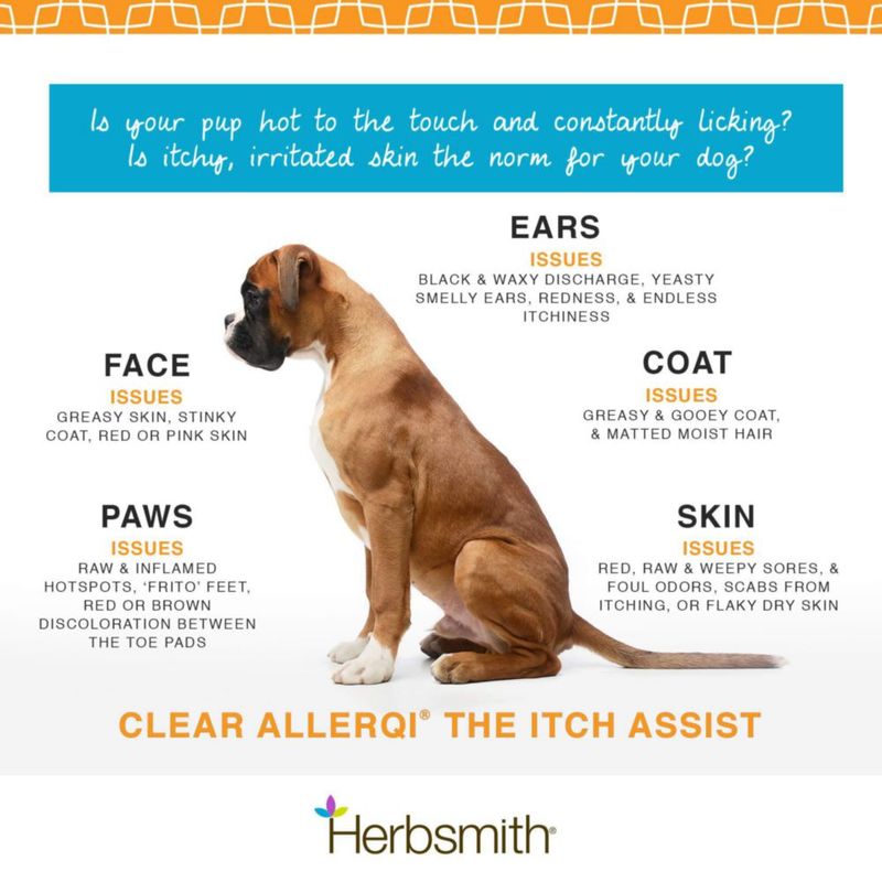 Herbsmith Allergy Aid – 90 comprimidos para gatos y perros