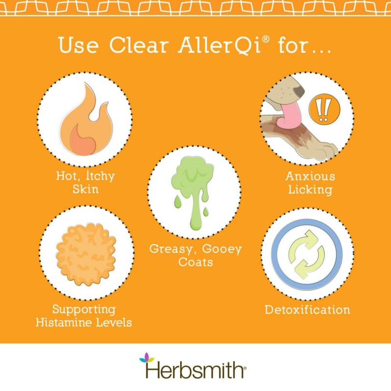 Herbsmith Allergy Aid – 90 comprimidos para gatos y perros