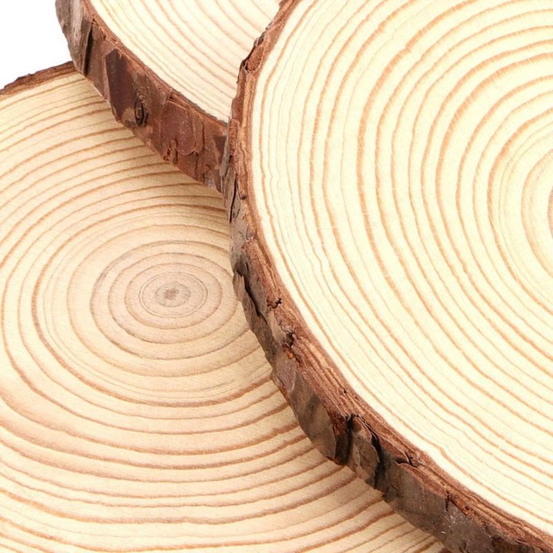Rodajas de madera TAICHEUT 16‑17 cm paquete de 15 natural