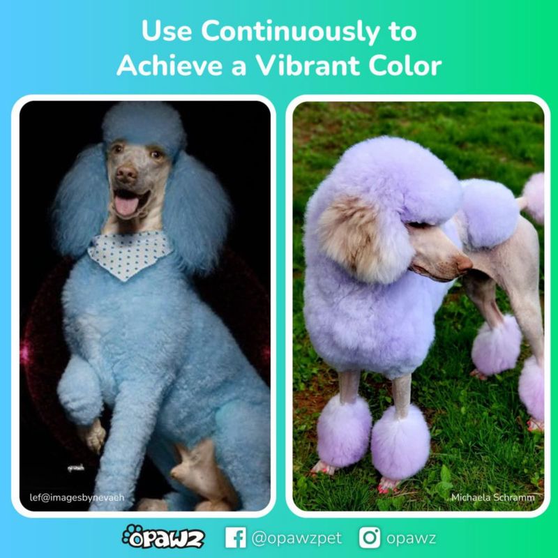 Champú Depositor de Color OPAWZ para Perros y Gatos Tinte Semi-Permanente para Pelo de Mascotas Tinte Seguro para Todas las Mascotas que se Pueden