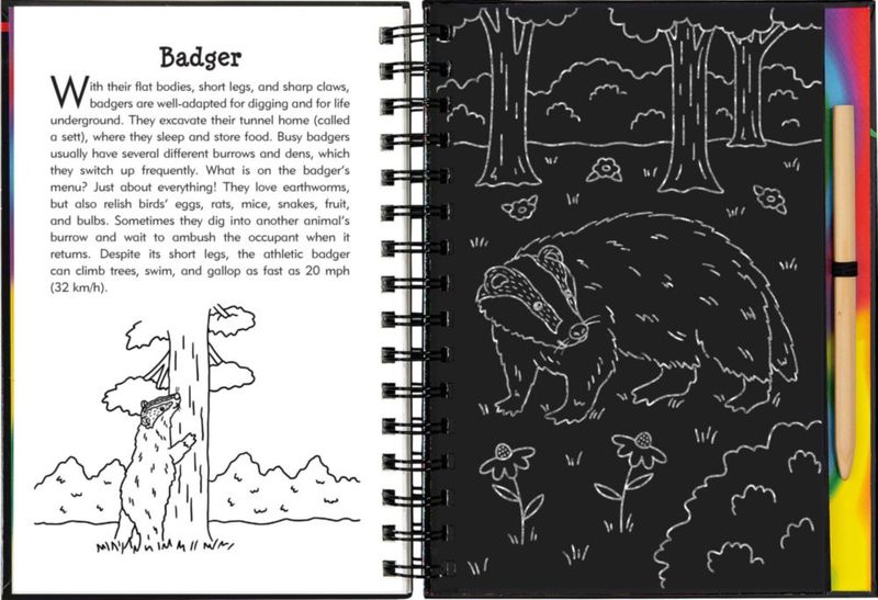 Kit de Arte y Manualidades PETER PAUPER PRESS Scratch & Sketch