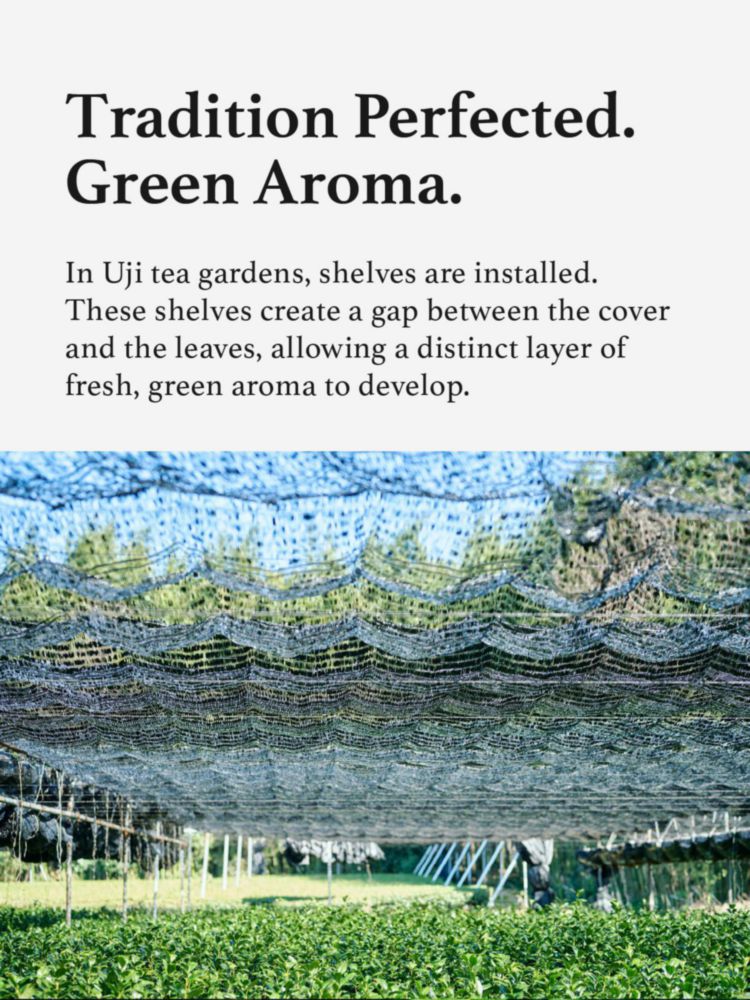 Té KYOHAYASHIYA Asamidori Matcha Ceremonial 30g
